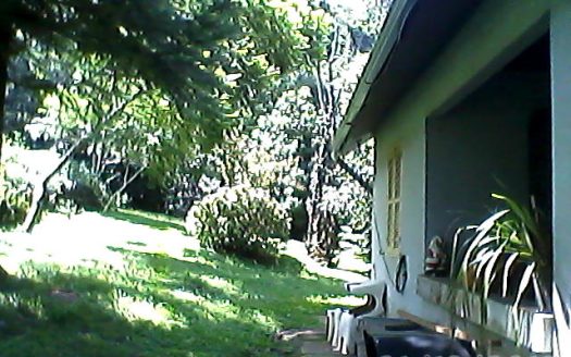 Chacara 12 Hectares Teototnia Frente RS 453
