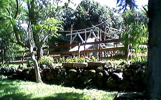 Chacara 12 Hectares Teototnia Frente RS 453