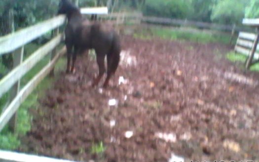 Chacara 12 Hectares Teototnia Frente RS 453
