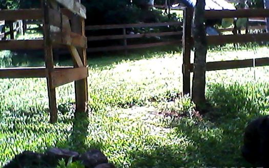 Chacara 12 Hectares Teototnia Frente RS 453