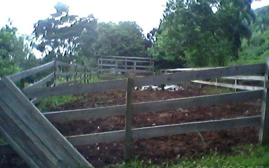 Chacara 12 Hectares Teototnia Frente RS 453