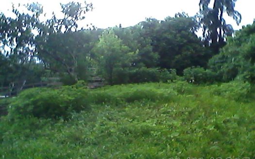 Chacara 12 Hectares Teototnia Frente RS 453