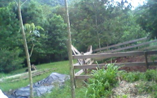 Chacara 12 Hectares Teototnia Frente RS 453