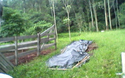 Chacara 12 Hectares Teototnia Frente RS 453
