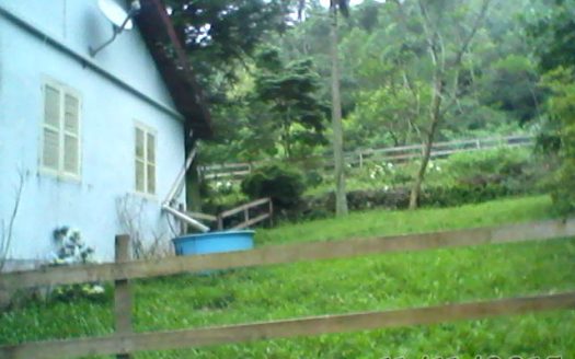 Chacara 12 Hectares Teototnia Frente RS 453