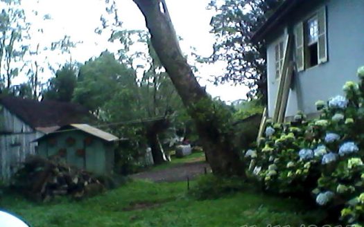 Chacara 12 Hectares Teototnia Frente RS 453