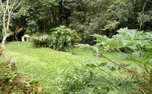Chacara 12 Hectares Teototnia Frente RS 453