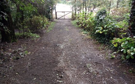 Chacara 12 Hectares Teototnia Frente RS 453