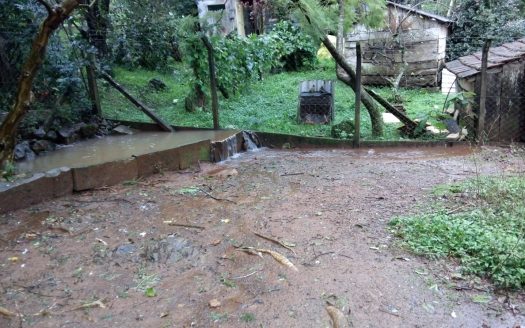 Chacara 12 Hectares Teototnia Frente RS 453