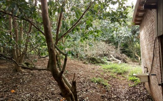Chacara 12 Hectares Teototnia Frente RS 453