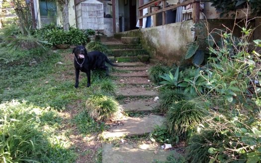 Chacara 12 Hectares Teototnia Frente RS 453